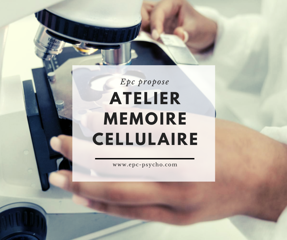Découvrez la science de la mémoire cellulaire et de l'épigénétique. Comment le stress et les traumat