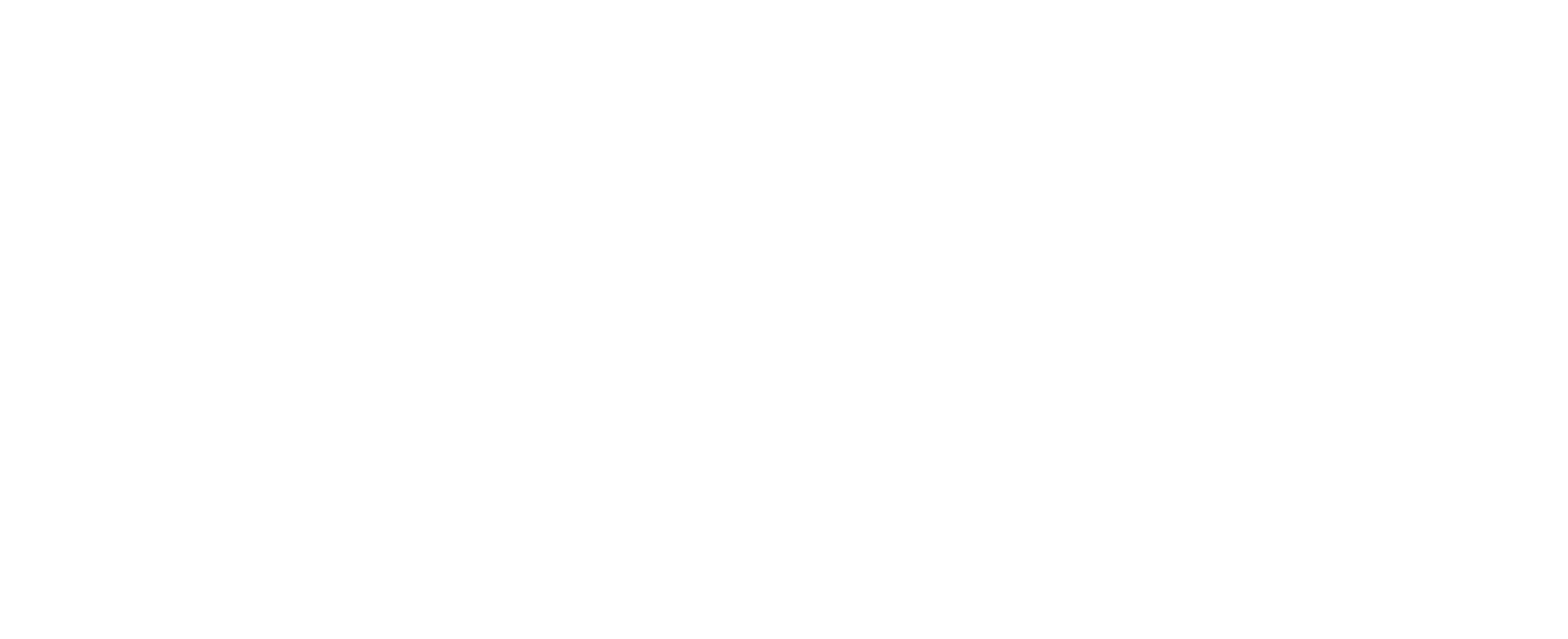 Logo_Hausverwaltung und Immobilienvermittlung Bräutigam und Partner