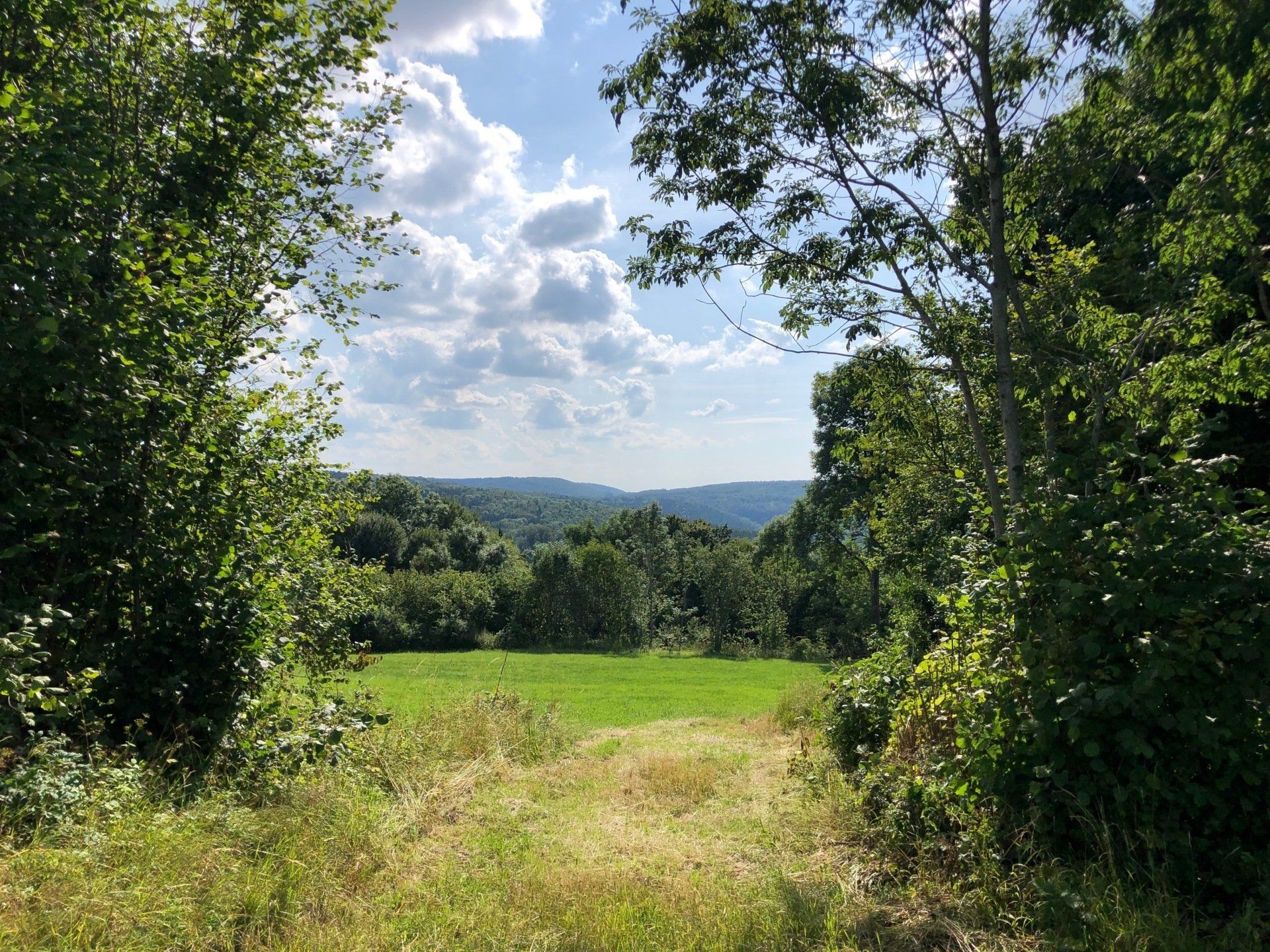 Wegepflege Wegepflege