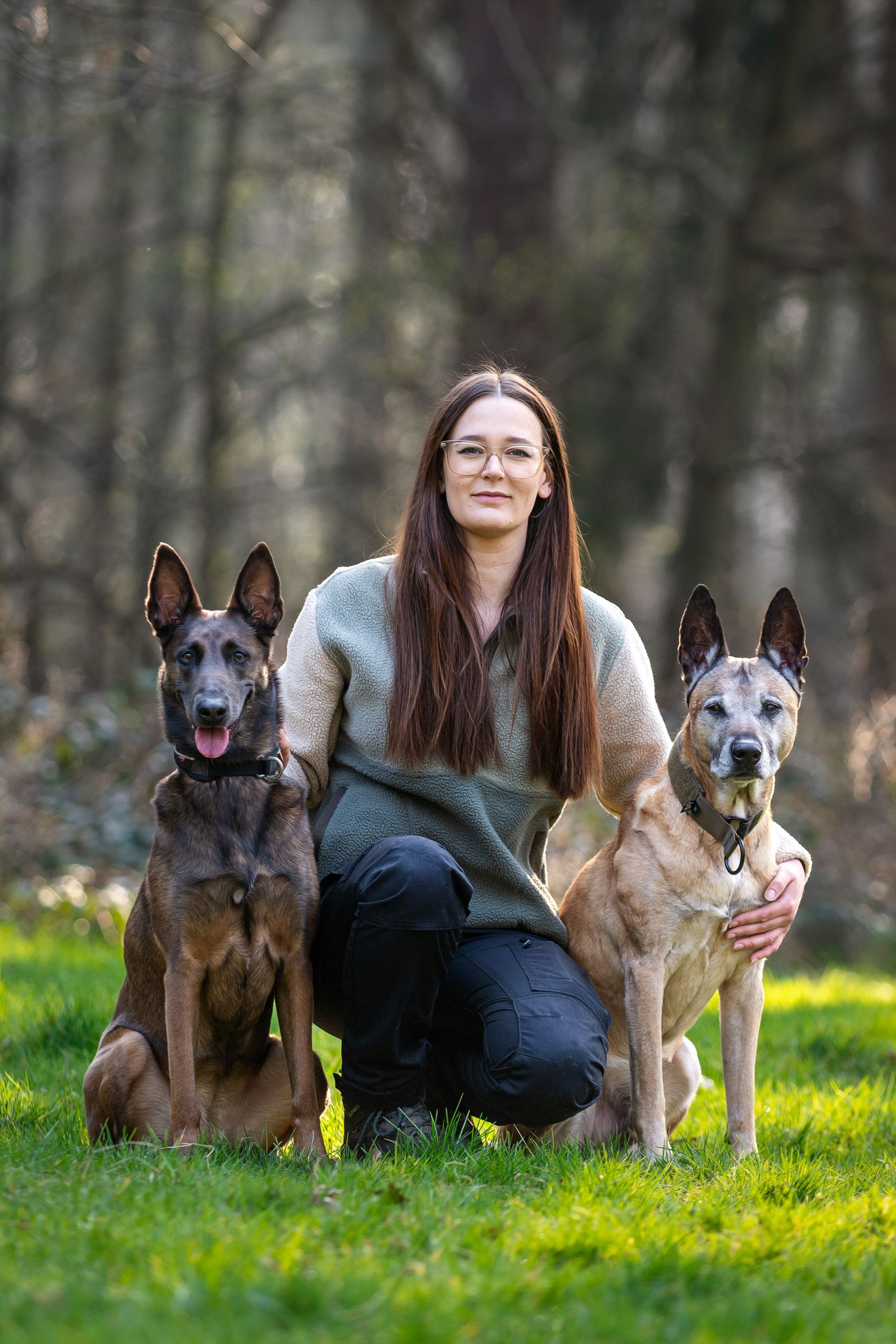 Hundetraining Essen & Mülheim – ProDogs Hundeschule by www.maximumpages.de