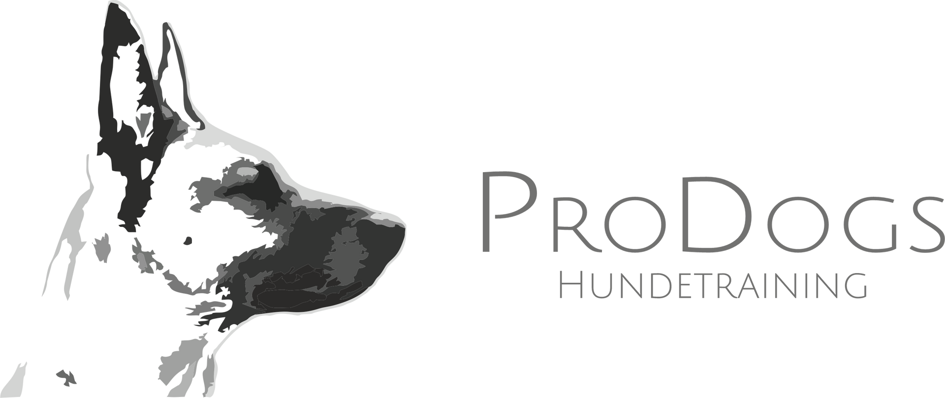 Hundetraining Essen & Mülheim – ProDogs Hundeschule by www.maximumpages.de