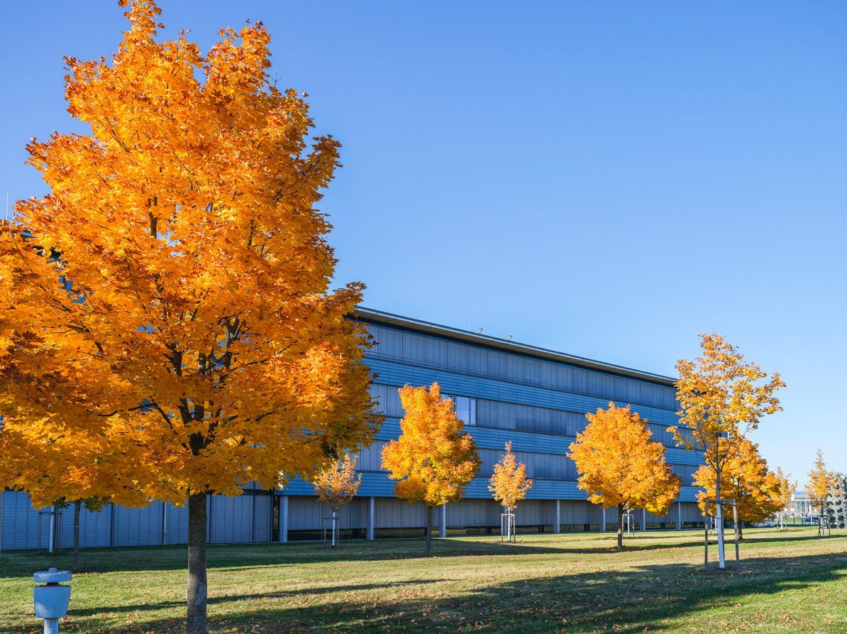 neue Messe Freiburg, Drees und Sommer