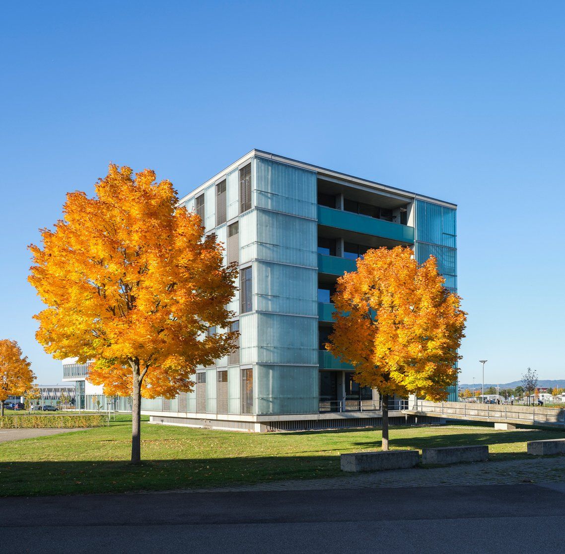 neue Messe Freiburg, Drees und Sommer, Architektur