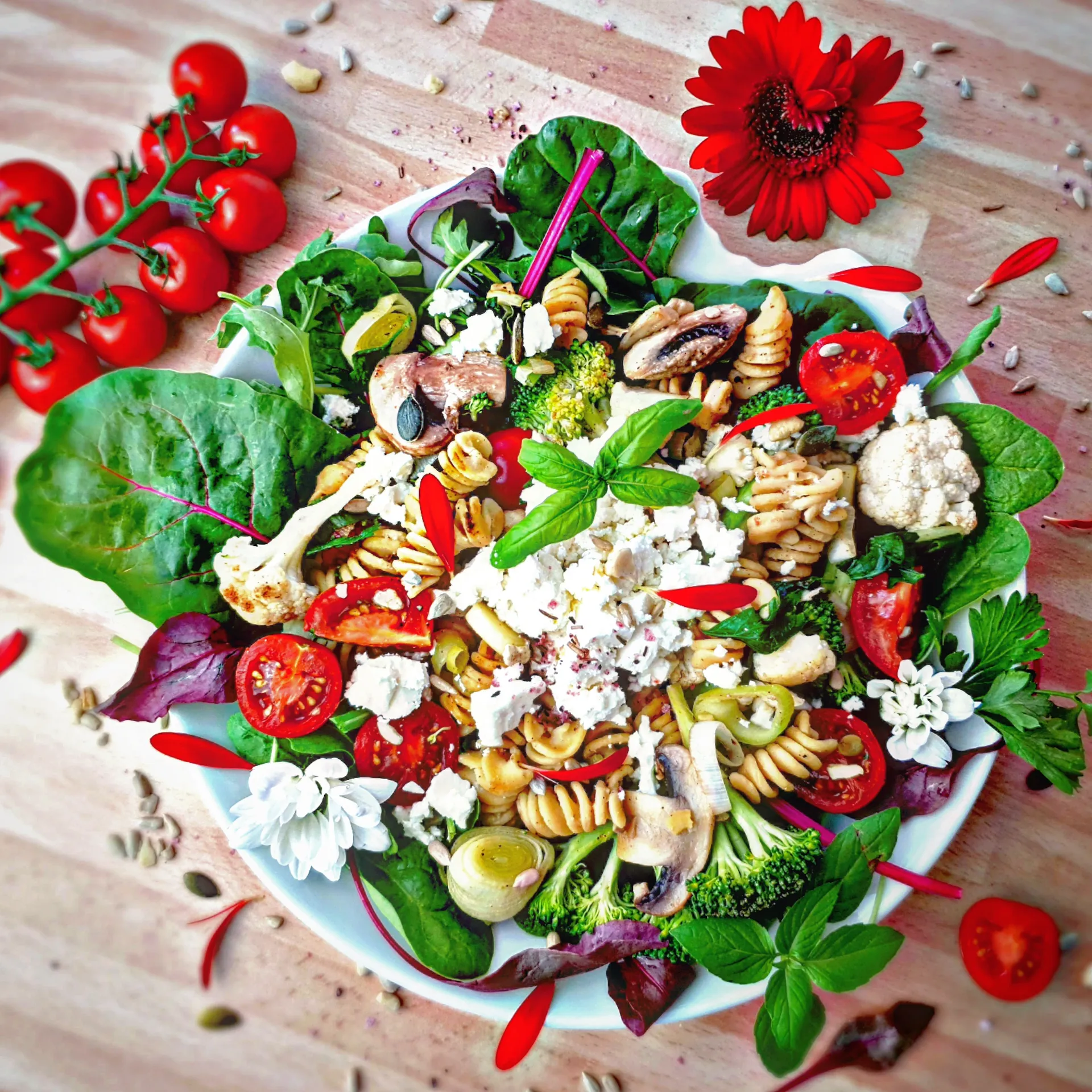 Ernährung und Bewusstsein. Katharinafriedsam Coaching