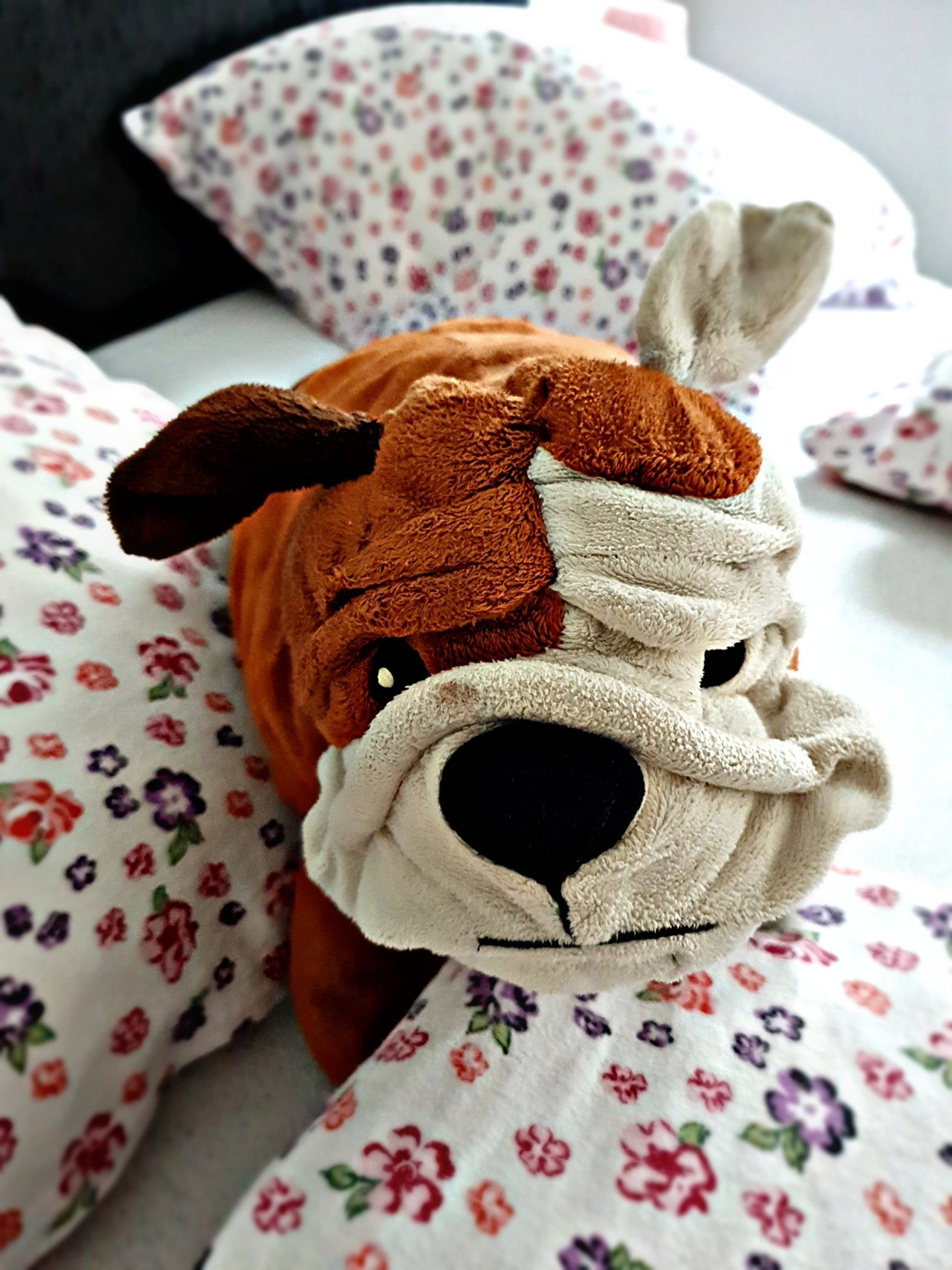 Brad, Kuscheltier, Corona Tagebuch