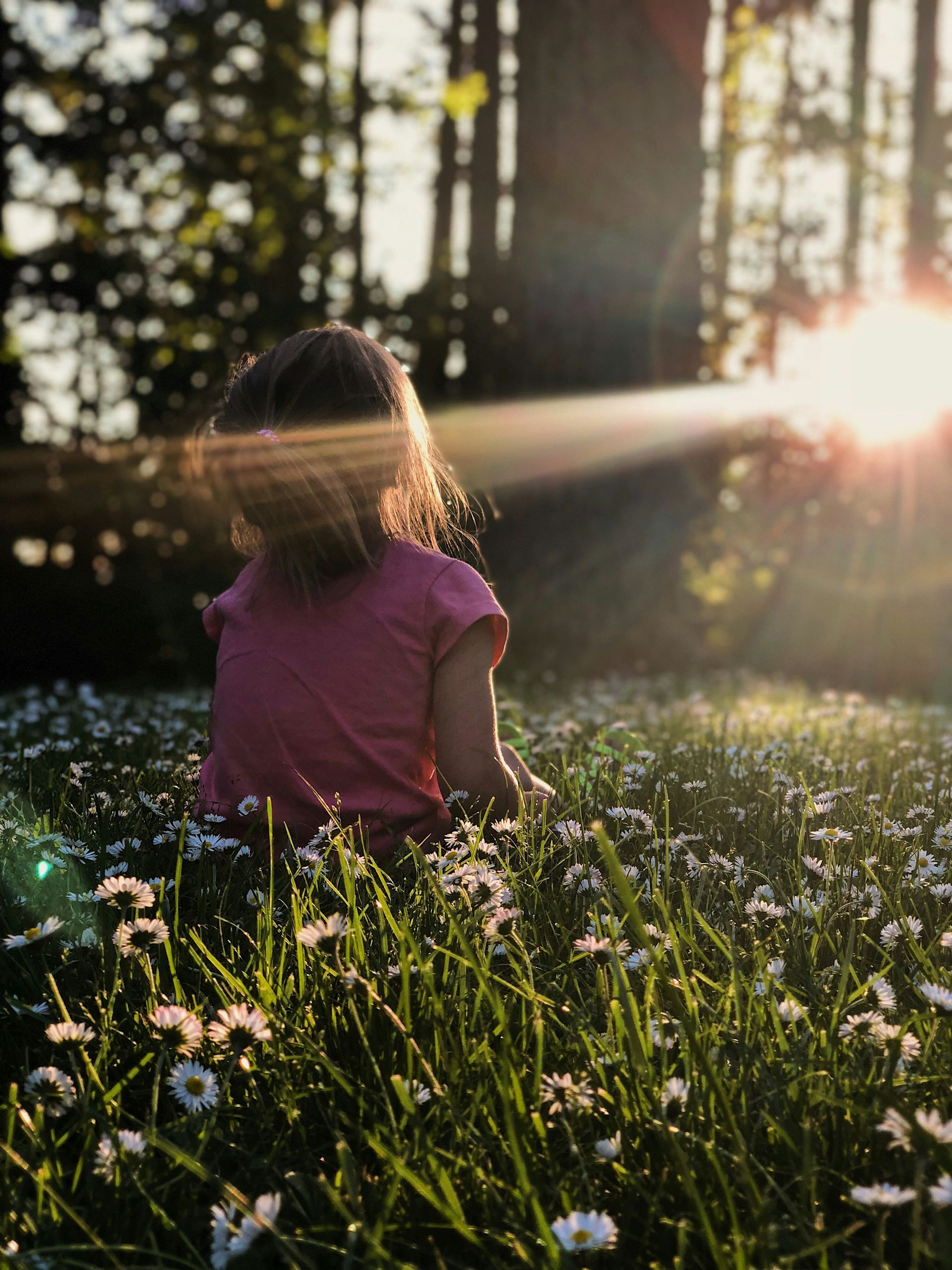 Reprogramming Limiting Beliefs
