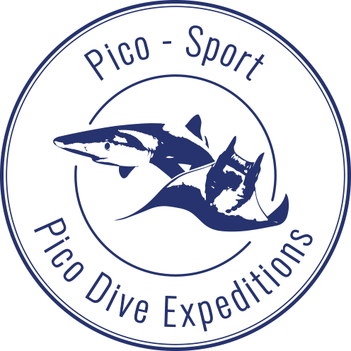Icon Pico Sport Pico Diving Expeditions