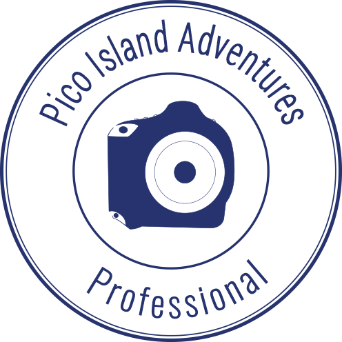 Pico Sport Professional Icon Pico Sport Professional