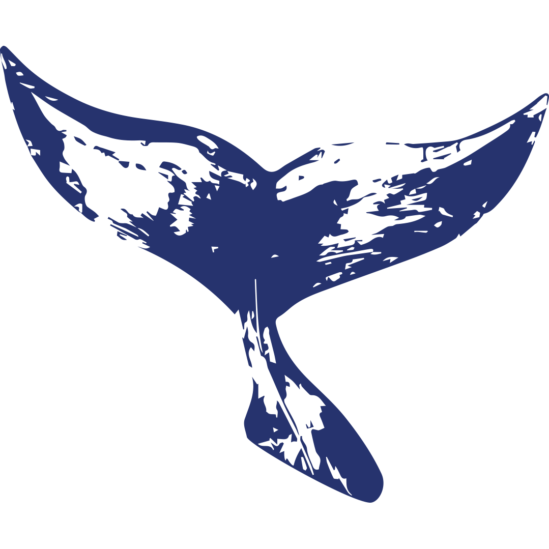 Pico Sport Azoren Fluke