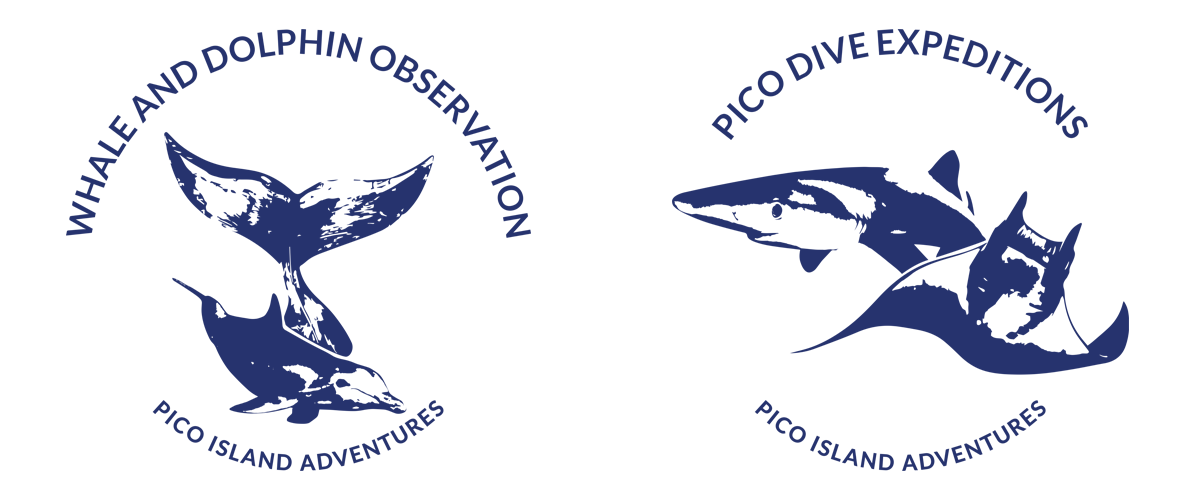Logos Pico Sport Pico Sport Dive Whale Dolphin Watching Since 1996