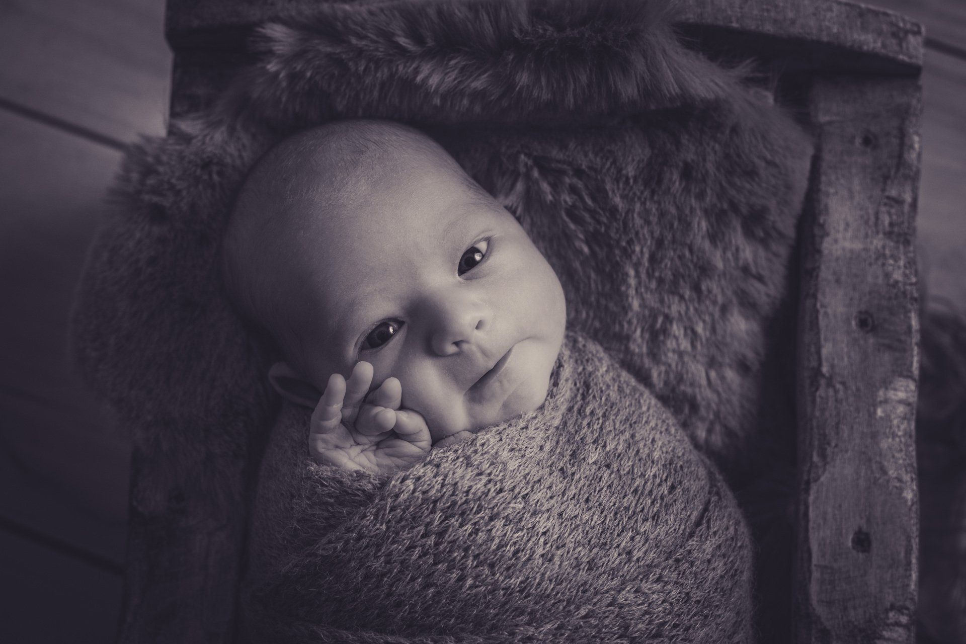 zwins momentmanufaktur Referenzbilder Fotostudio Henstedt-Ulzburg