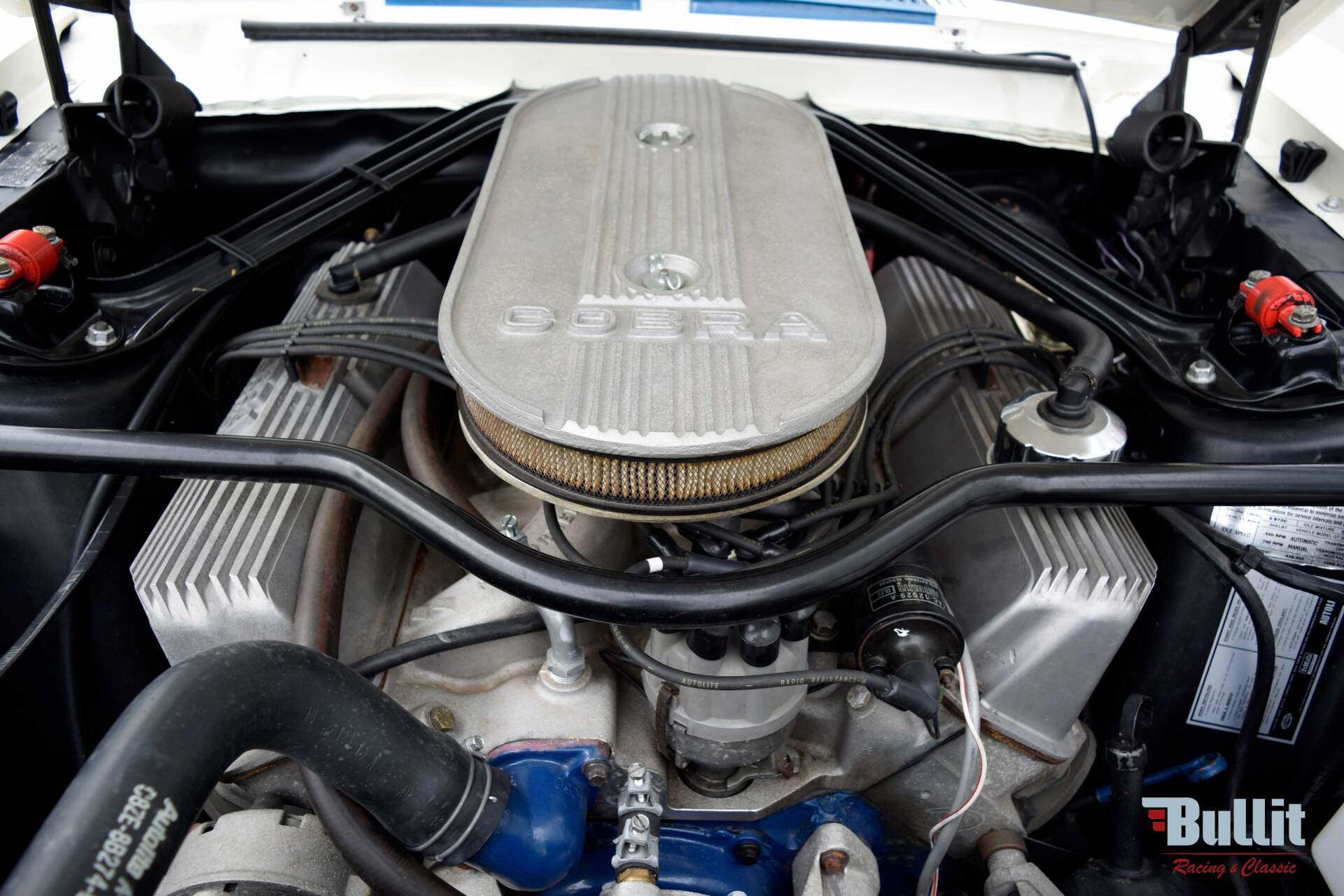 moteur V8 428 ci 360 chevaux de Mustang SHELBY GT 500 de 1968 blanche avec bandes bleues