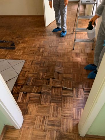 Tatortreinigungen in Mainz Tatortreinigungen in Mainz & Umgebung