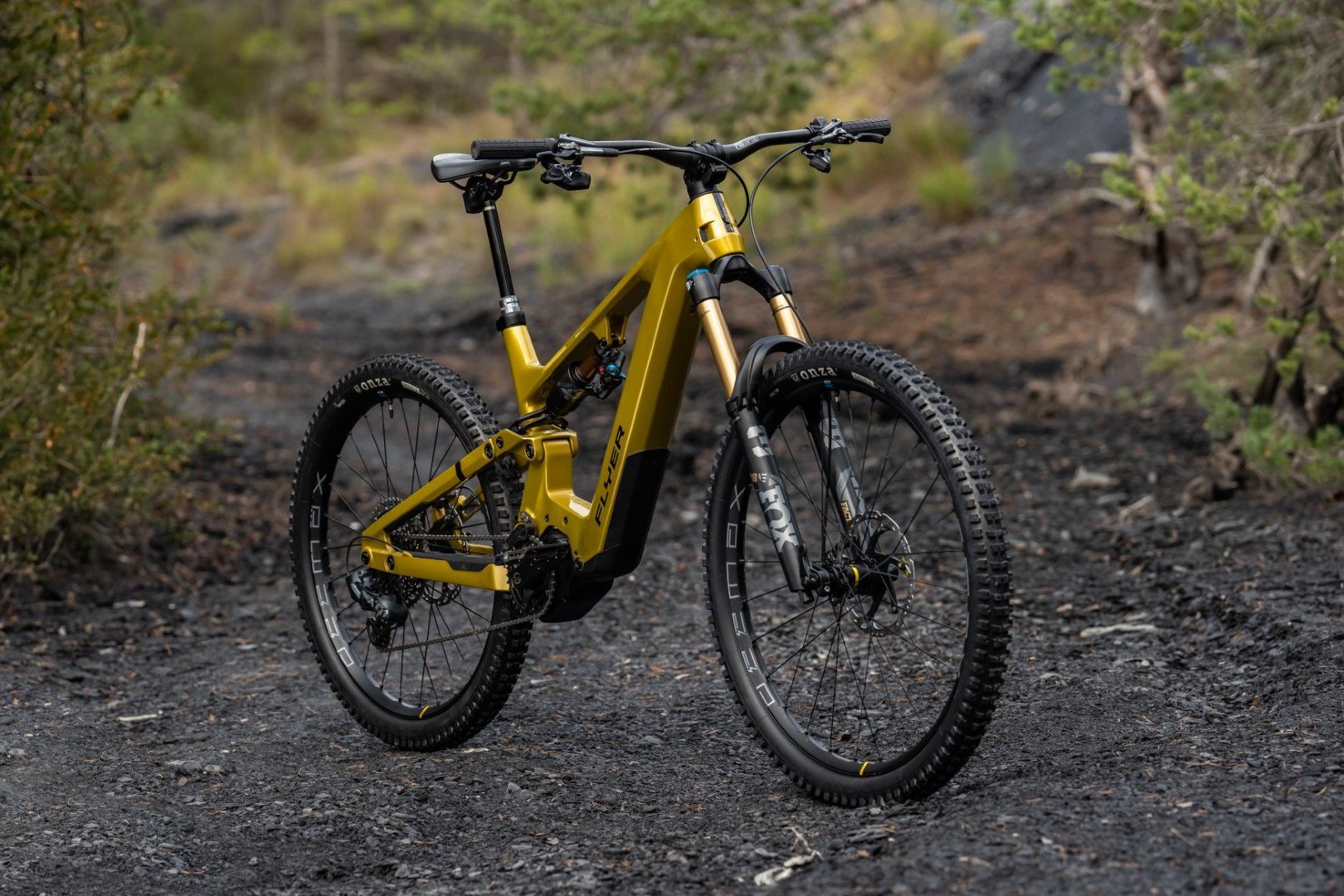 E-MTB Verkauf FLYER und Specialized