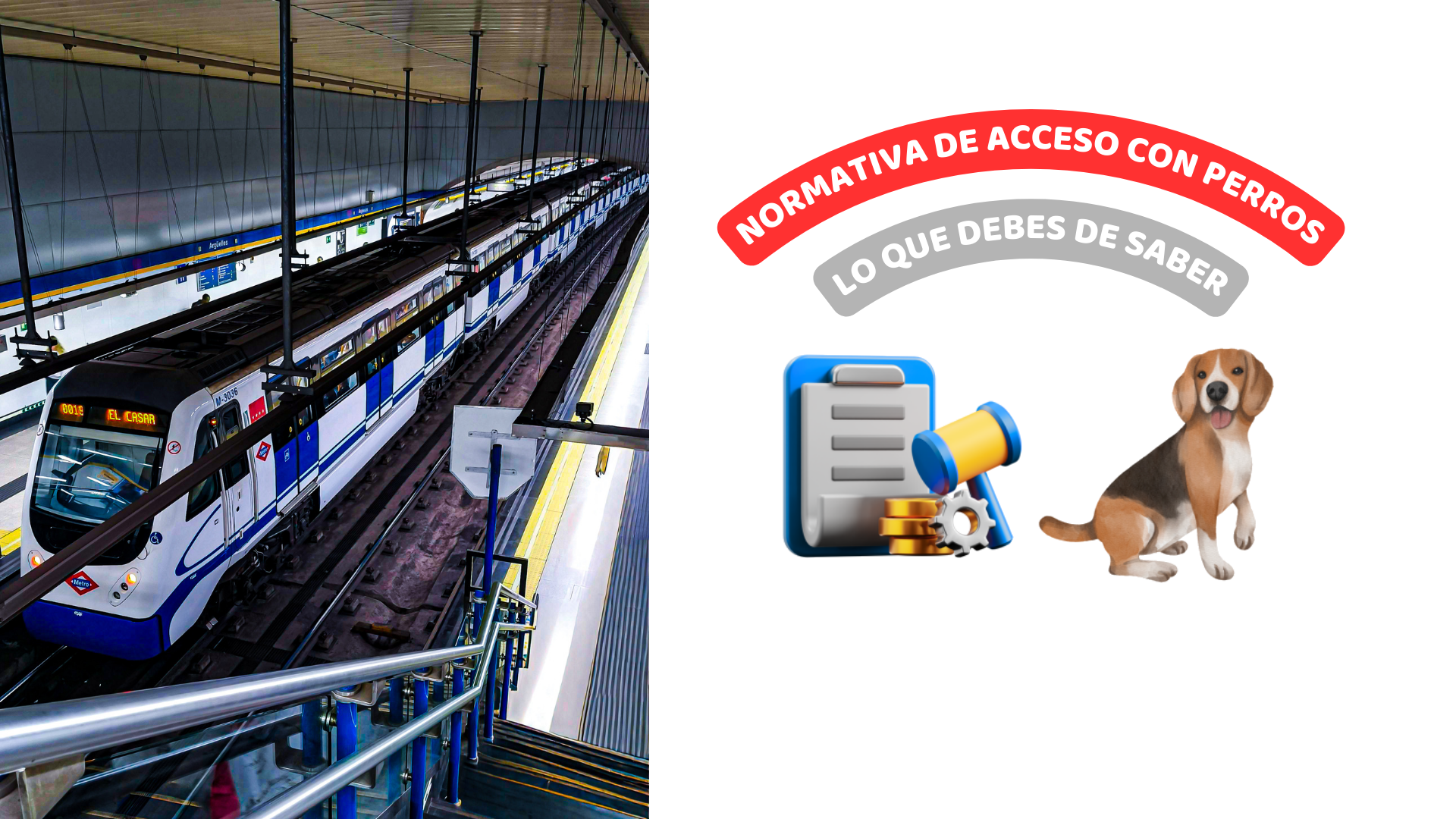 Normativa de acceso con perros en el Metro de Madrid