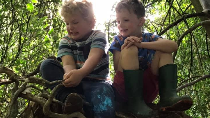 Friendships are built climbing trees