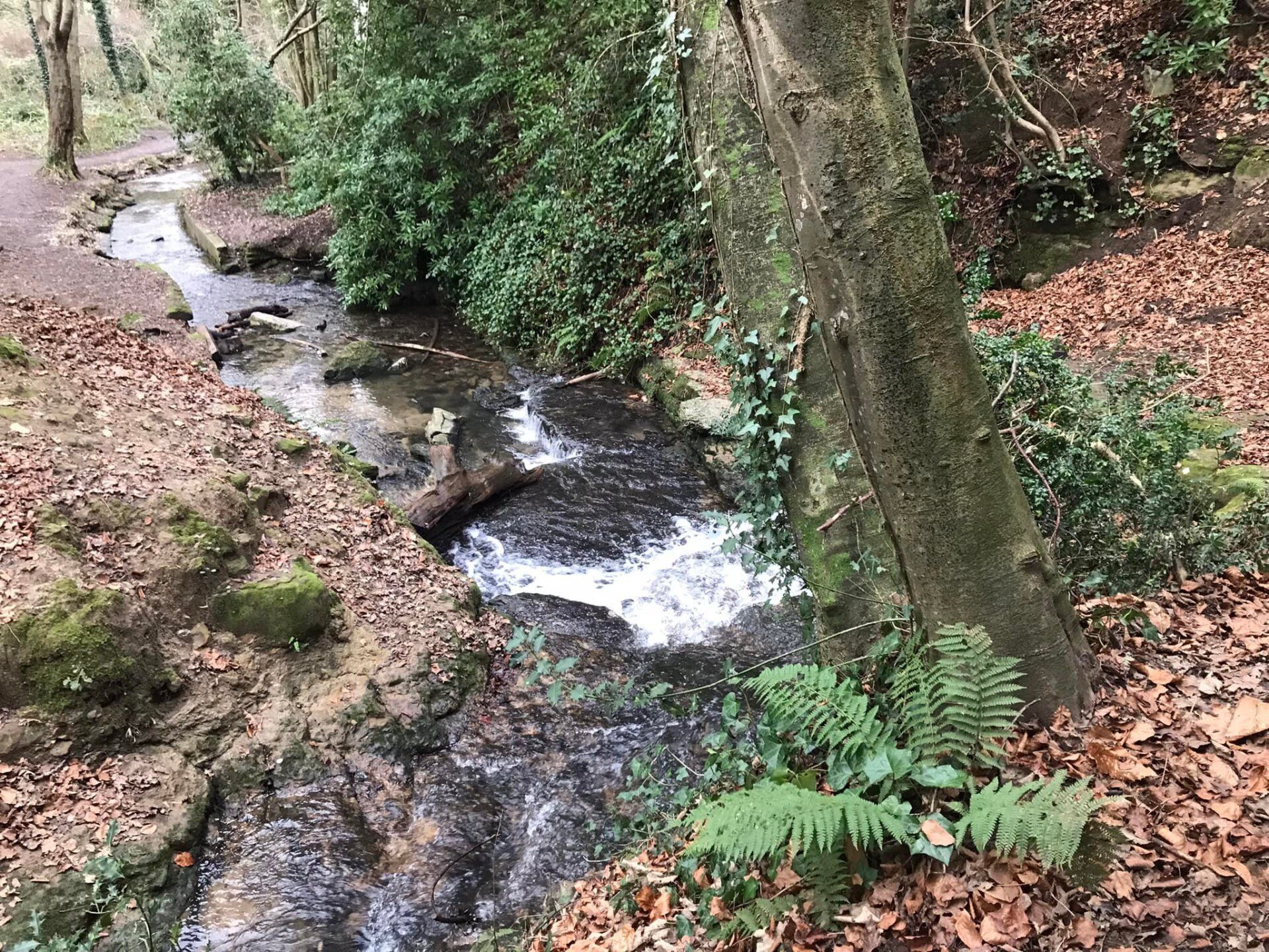 A hidden retreat at Storrington West Sussex