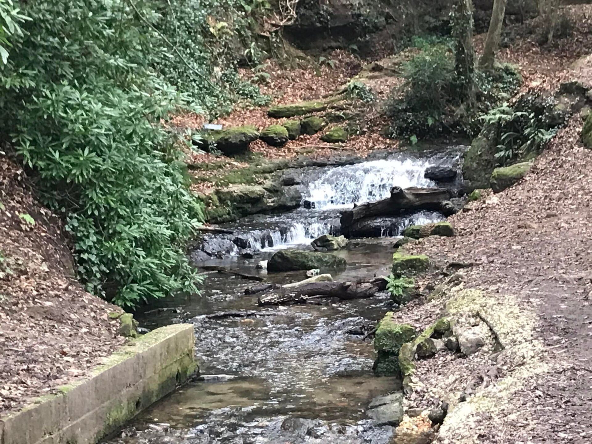 Storrington Stream
