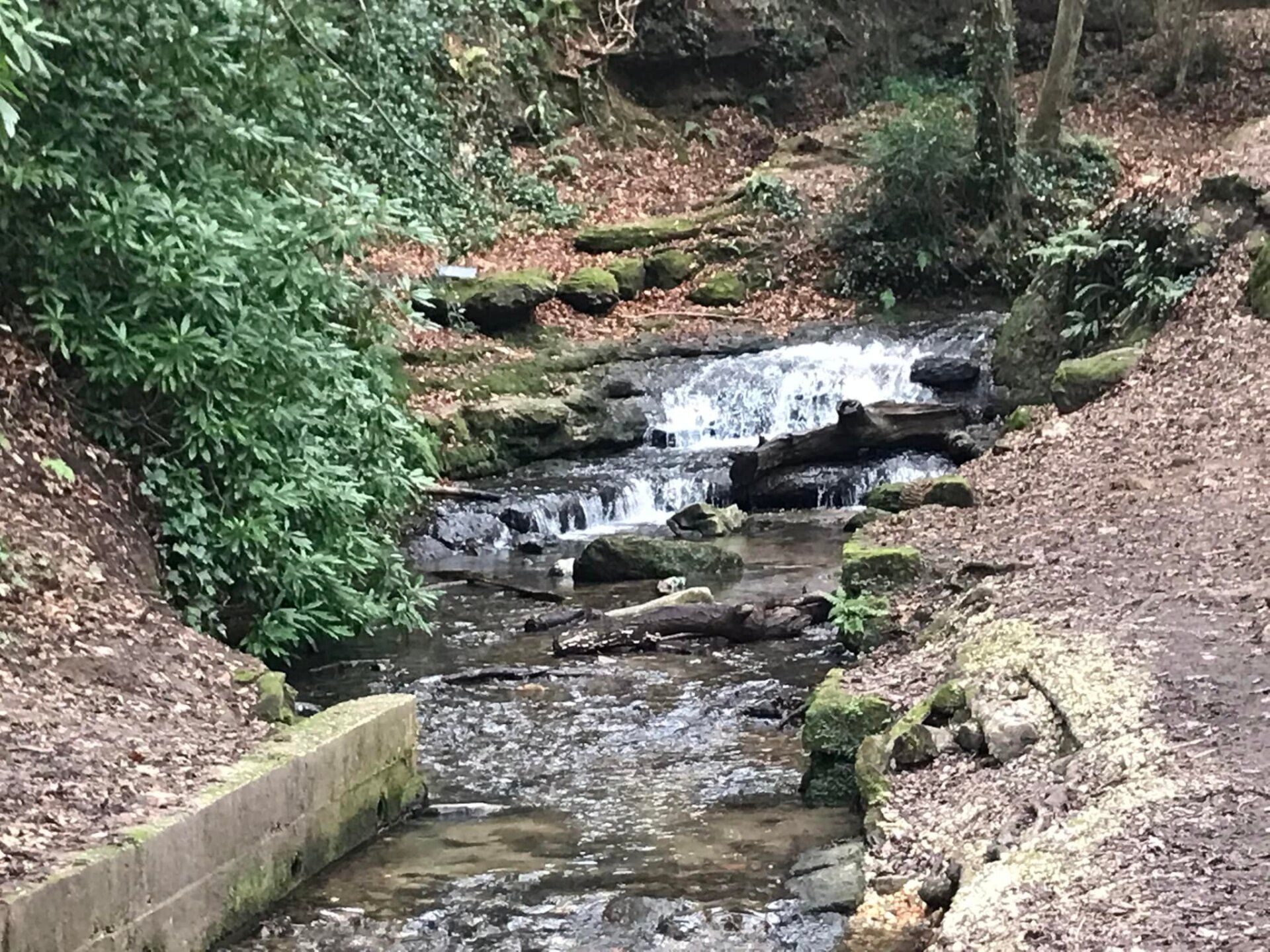 A hidden stream in the woods, Storrington West Sussex
