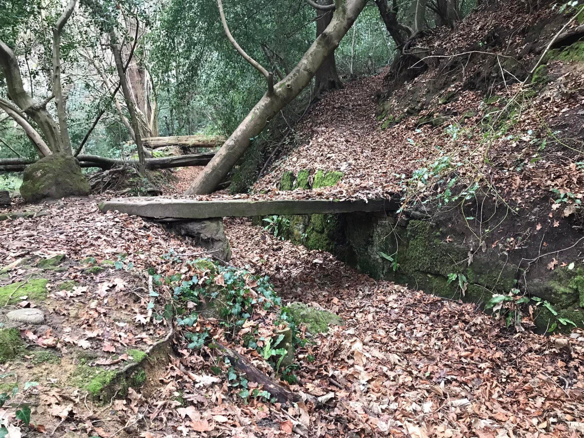 Stone slab bridge at Storrington stream
