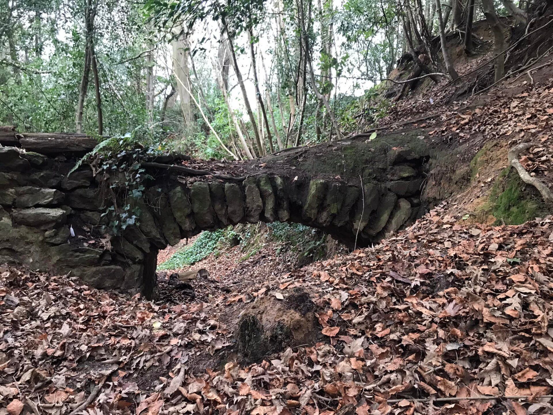 Stone bridge hidden near Storrington stream