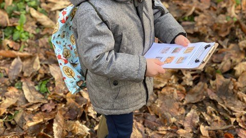 Children exploring the woods with kit packs