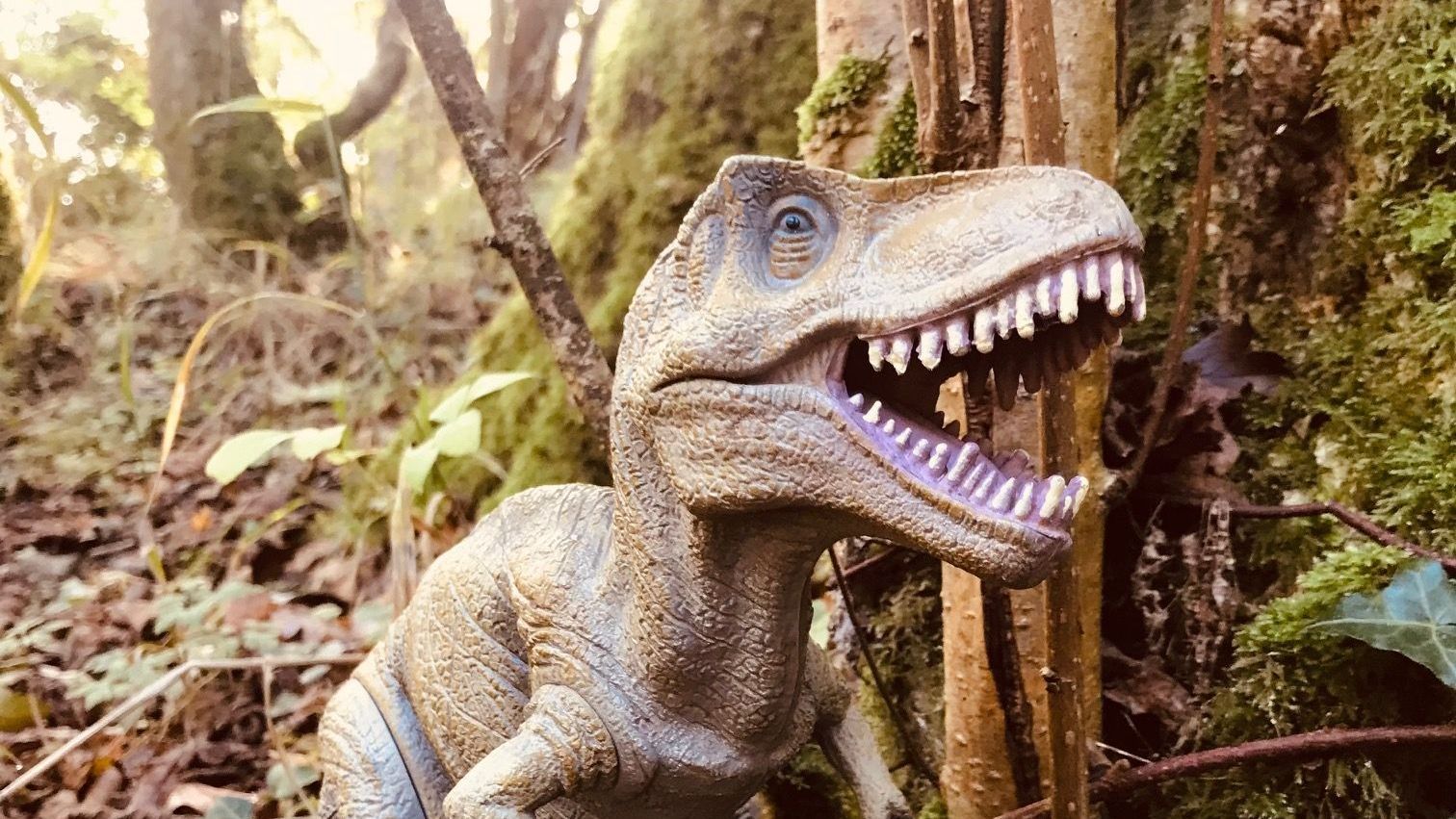 dinosaure birthday party