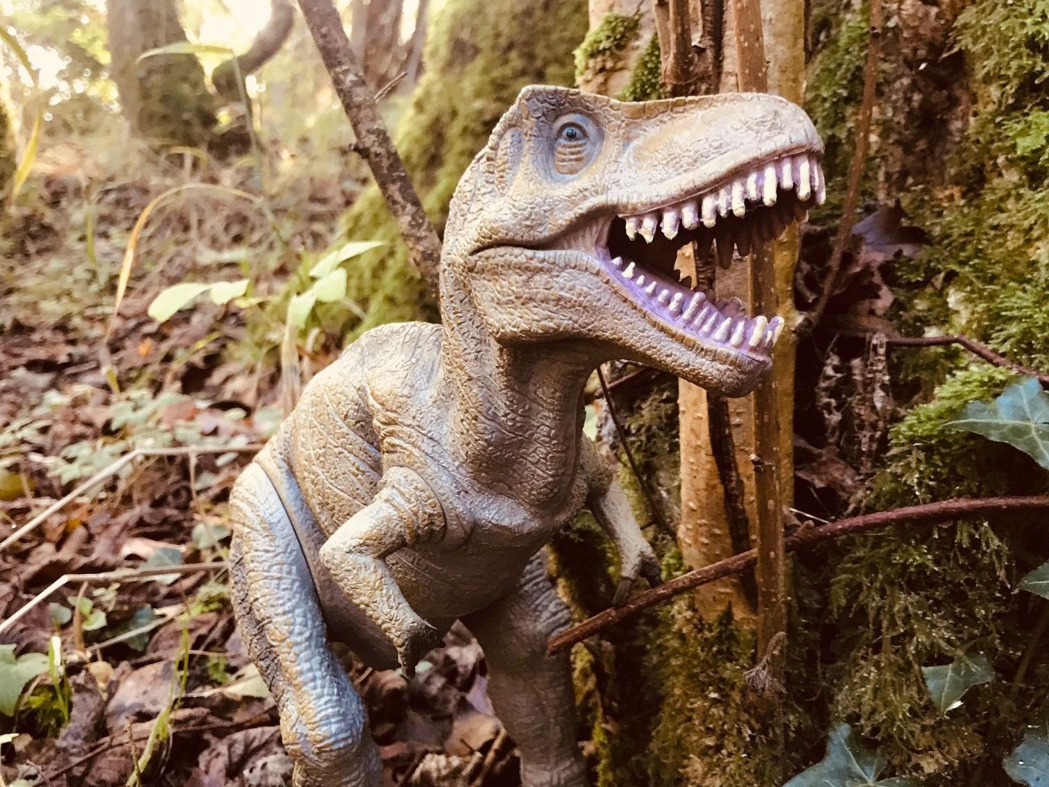 Woodland birthday parties