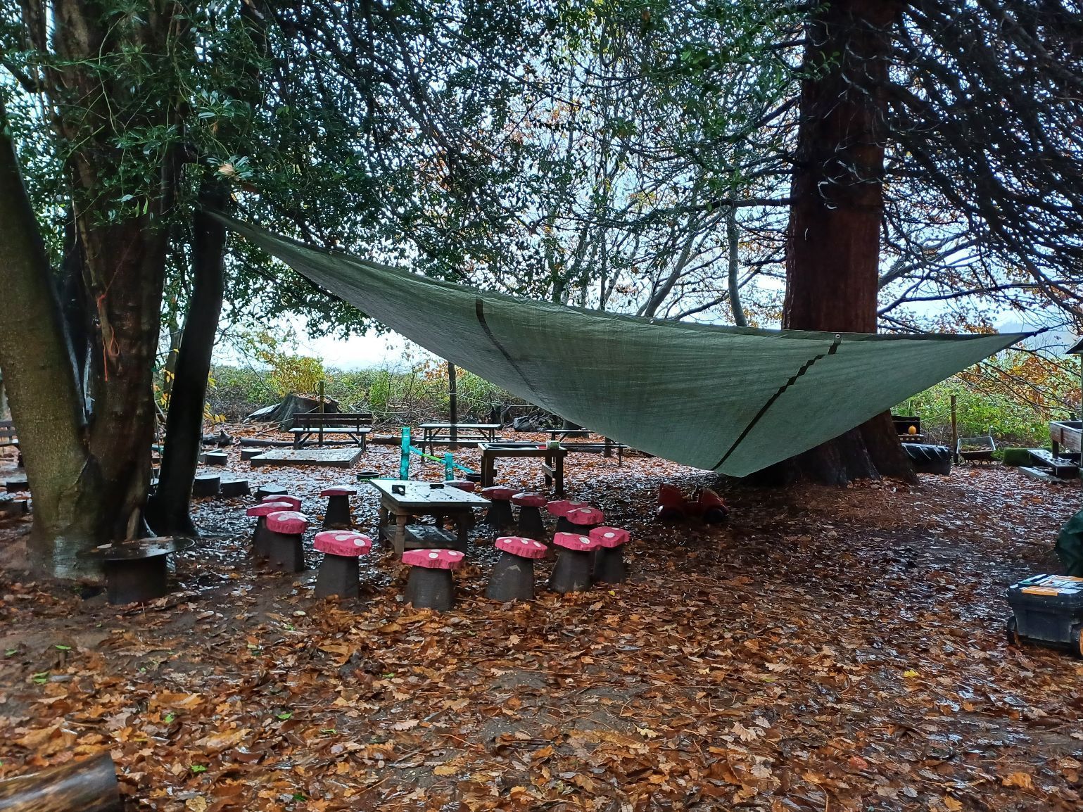 woodland play area at Easebourne