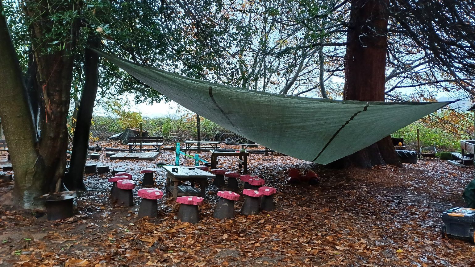Children exploring the woods with kit packs