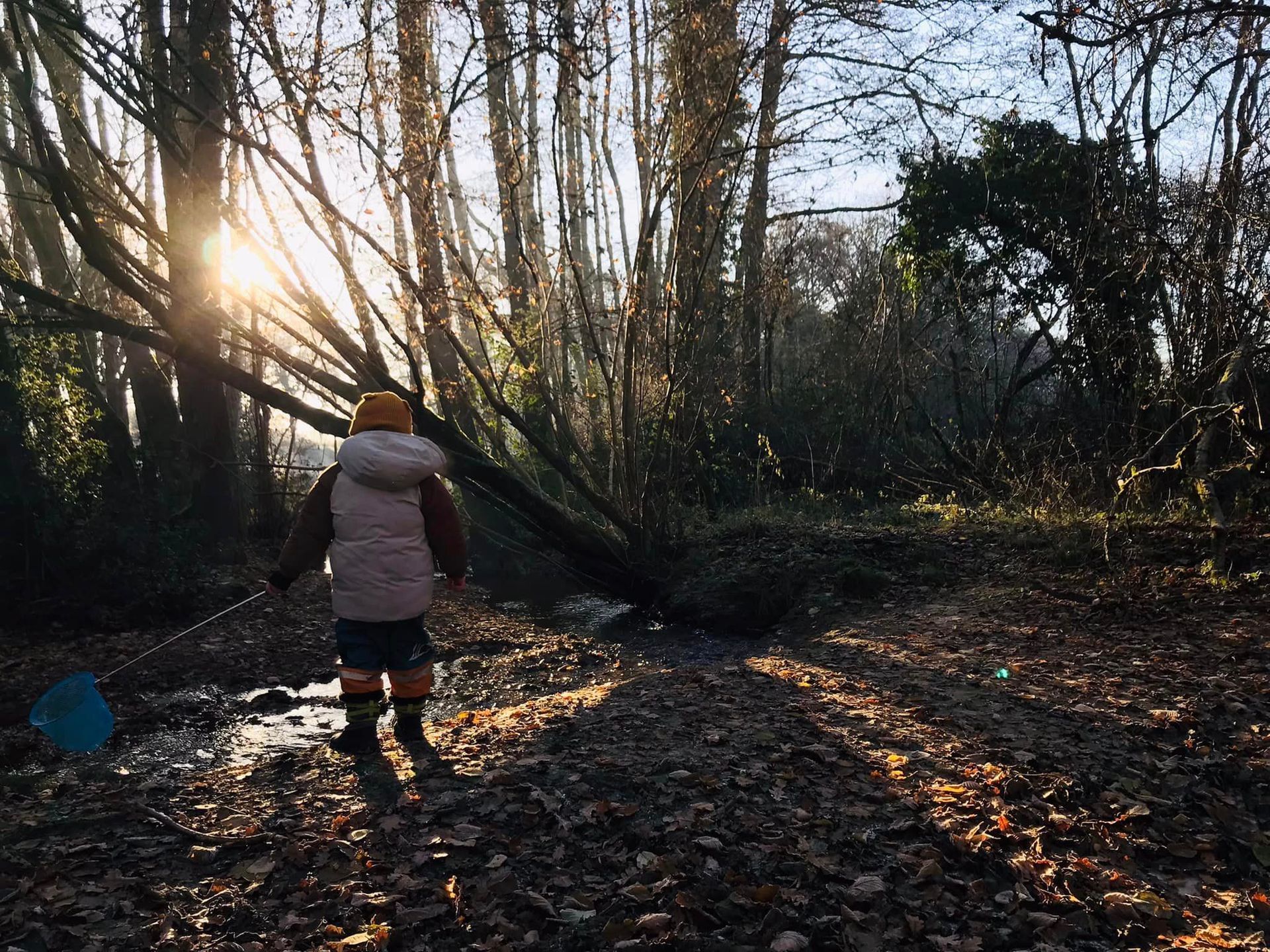 Playing in the stream at Fernhurst