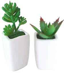 Mini florero