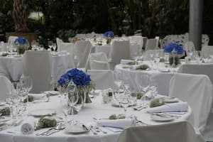 Mantelería lisa para bodas y eventos