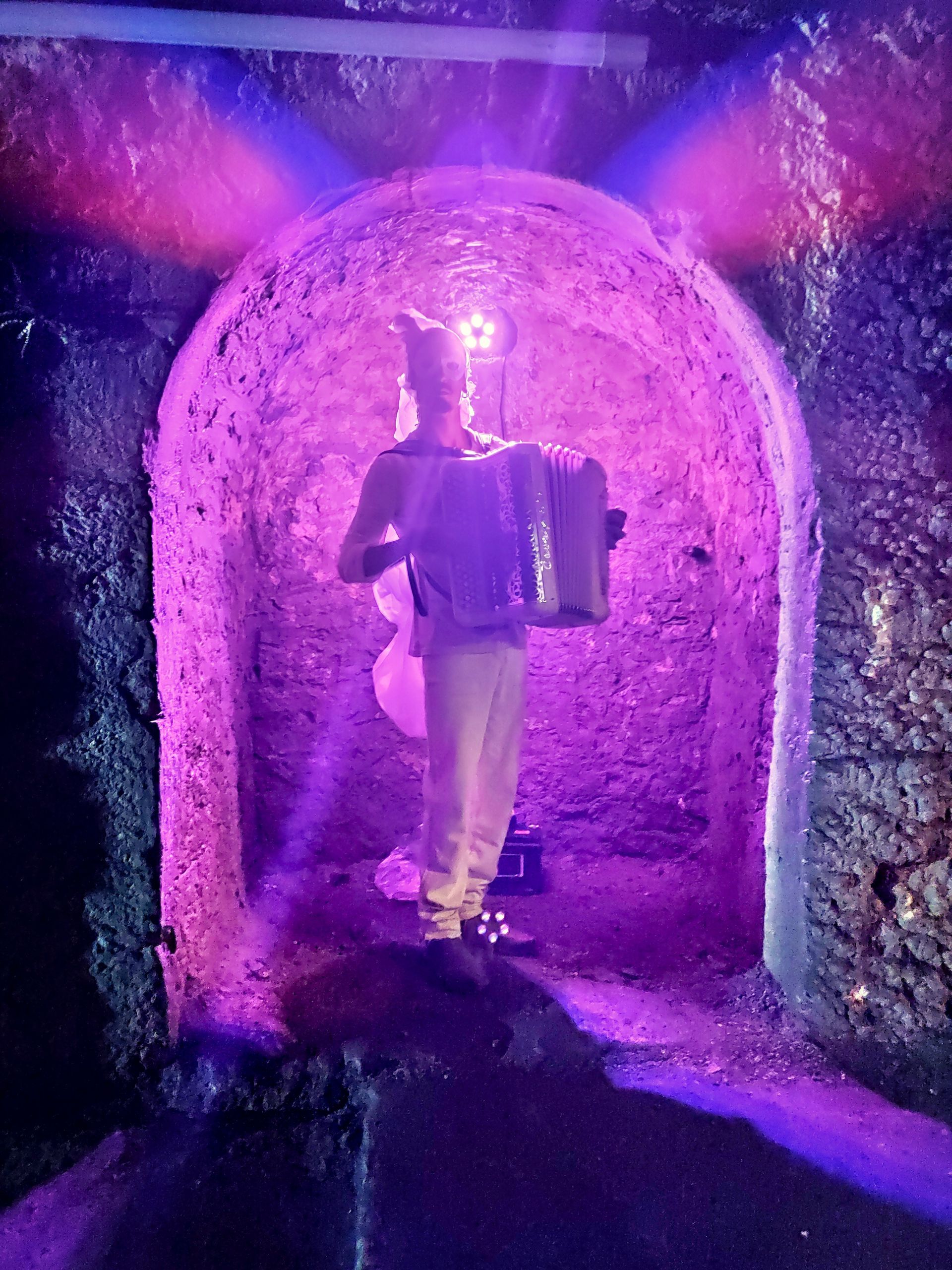 spectacle sur mesure Pincée d'Histoire Ambraluna L aime en Terre Salin les bains musicien accordéon costume grande saline