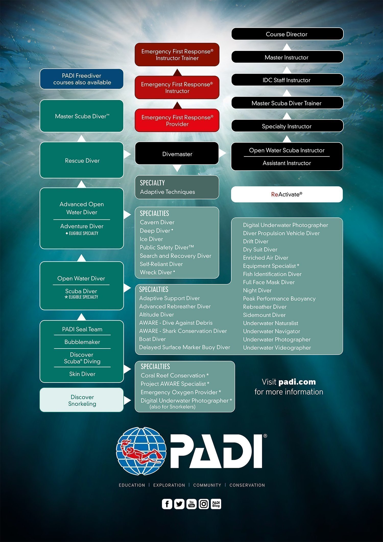 PADI Scuba Courses PADI Scuba Courses