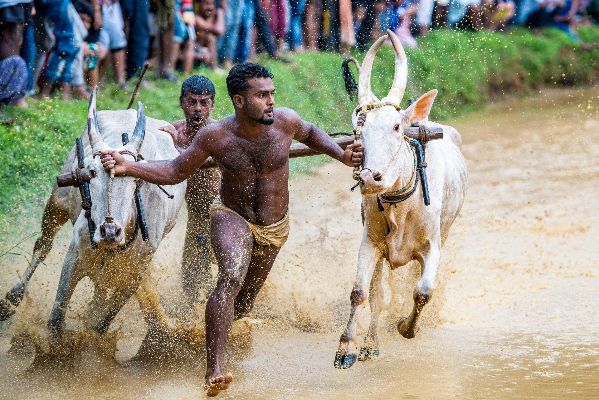 Indien. Kerala, Westghats, Nouria Newman, Quinn Connell, Thilo Schmitt, Philip Baues, olaf obsommer, abenteuer, kajak, Kanu, Wildwasser,