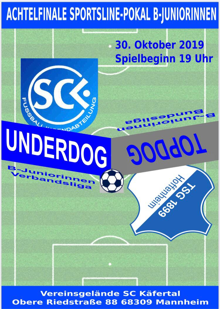 BM-Hoffenheim BM-Hoffenheim