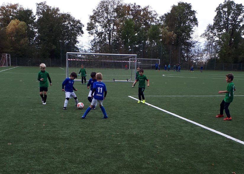 F1 in Rippenweiher F1 in Rippenweiher