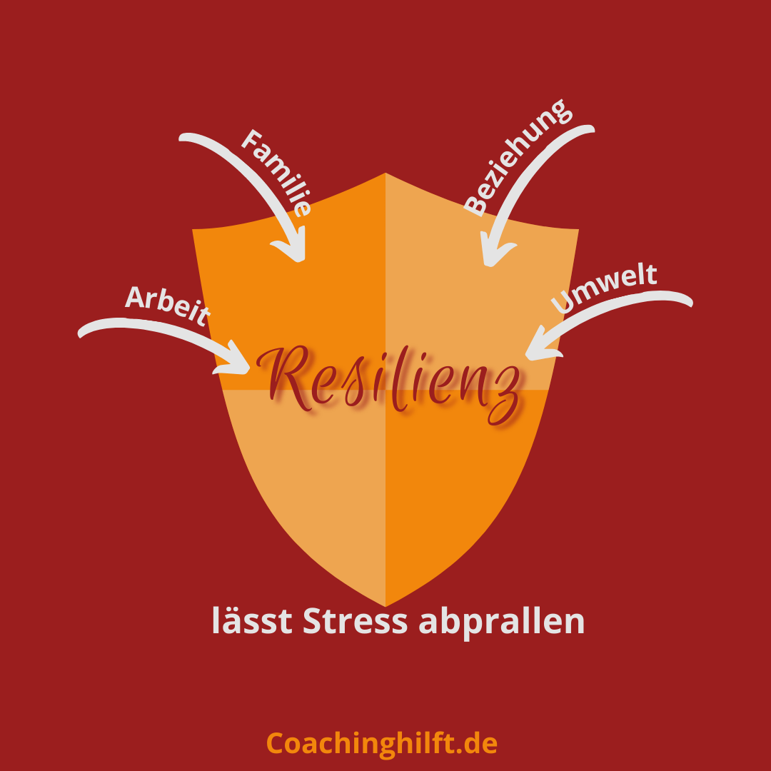 Resilienz in allen Bereichen stärken Schutzschild Resilienz