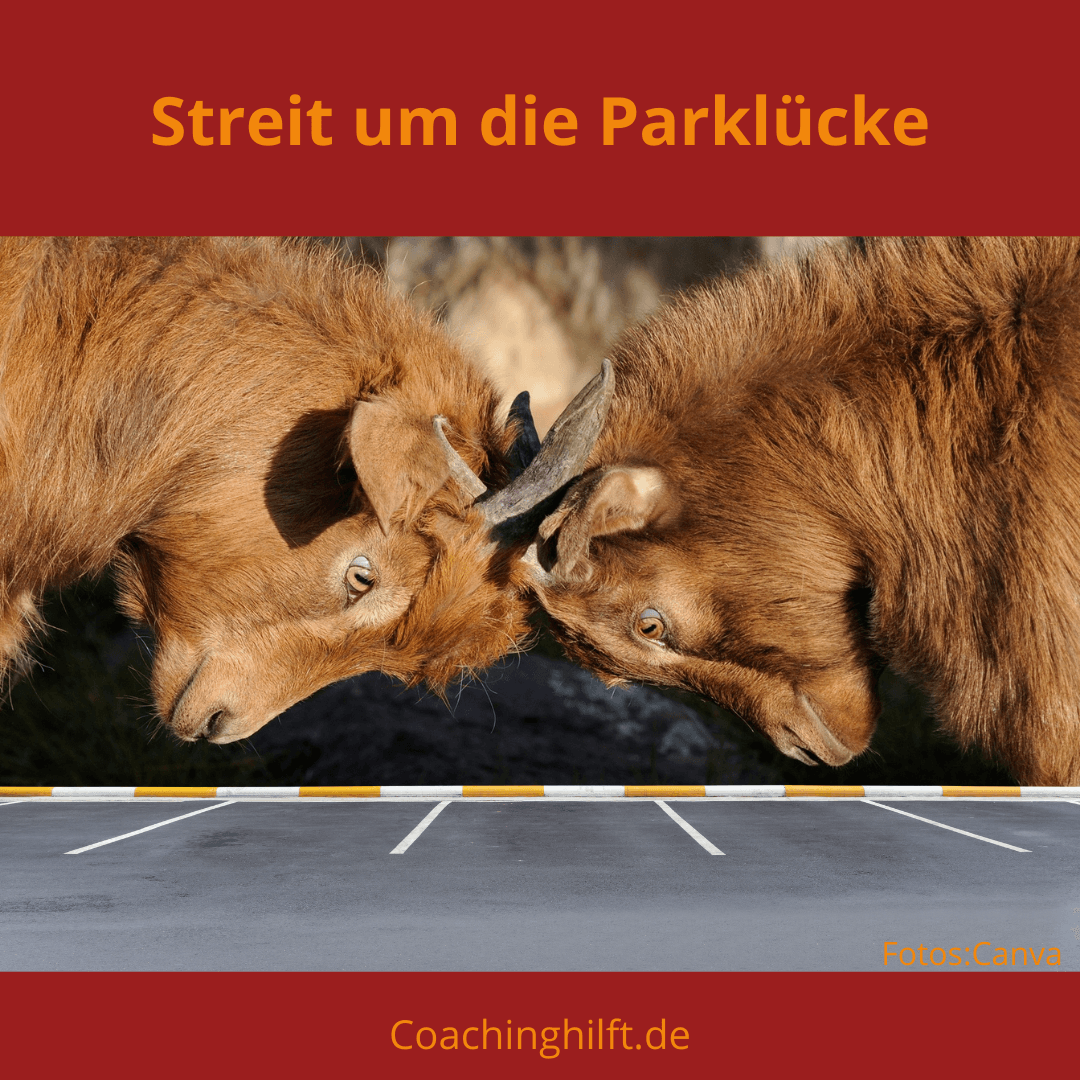 Was passiert in aktuen Stresssituationen - Online-Coaching Zwei kämpende Ziegen auf einem Parkplatz als Symbol für den Streit um die Parklücke