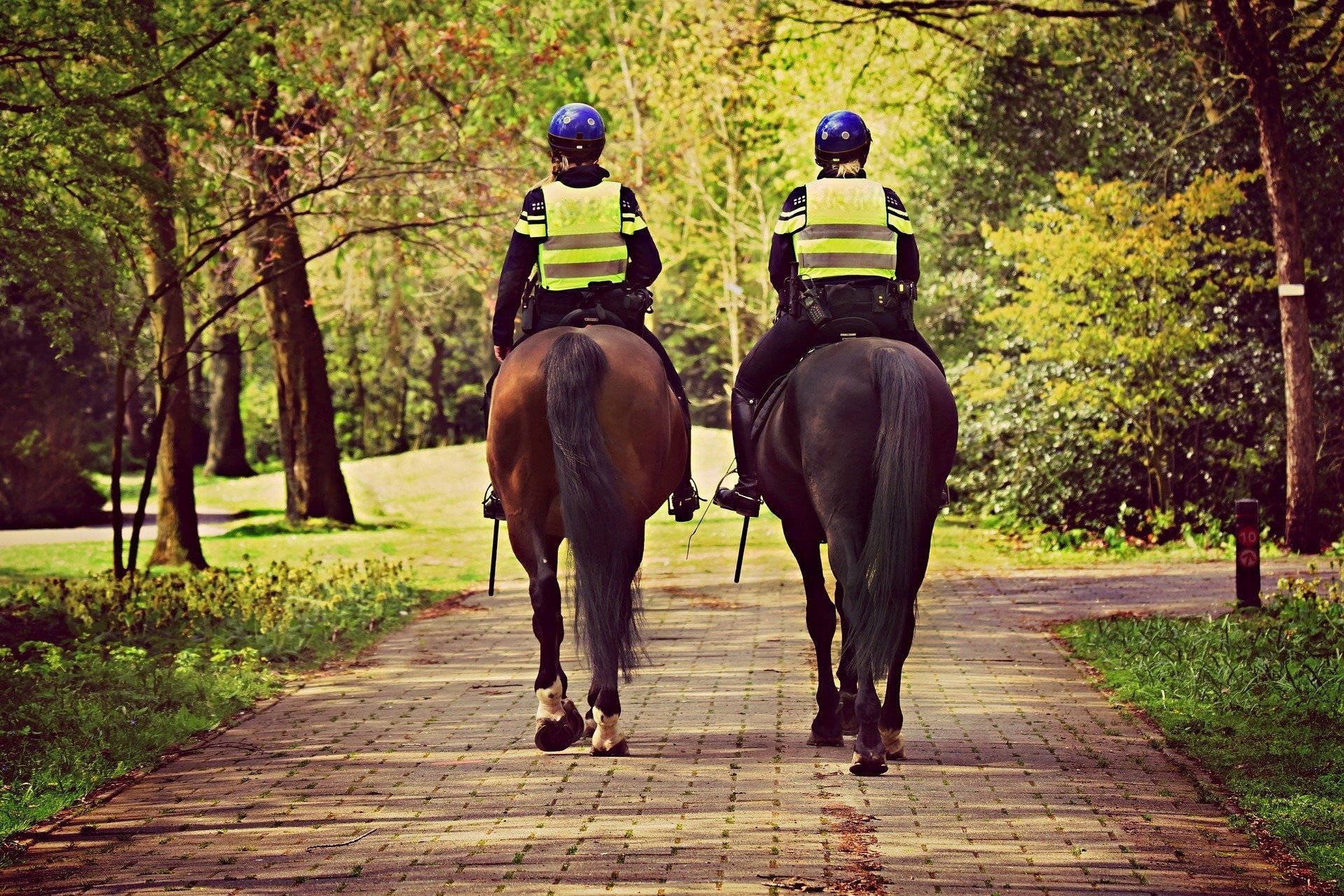 Ausbildung Reiterstaffel Polizei Ausbildung Polizeireiter, Ausbildung Polizeipferd, Pferdestaffel Polizei Ausbildung