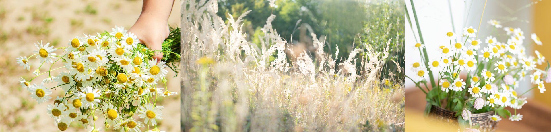 Stressbewältigung durch Entspannungstraining