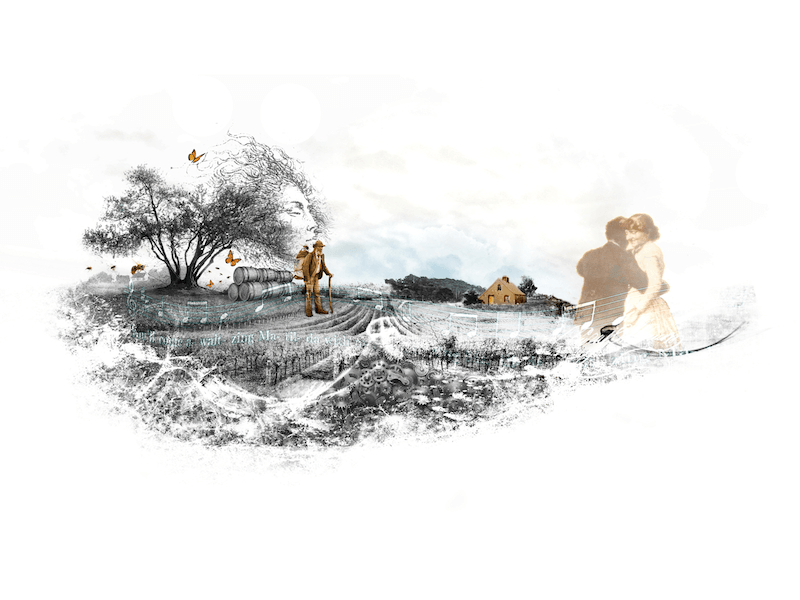 Bachelor's Block Shiraz