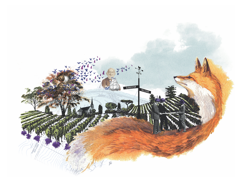 Thistledown Label illustration