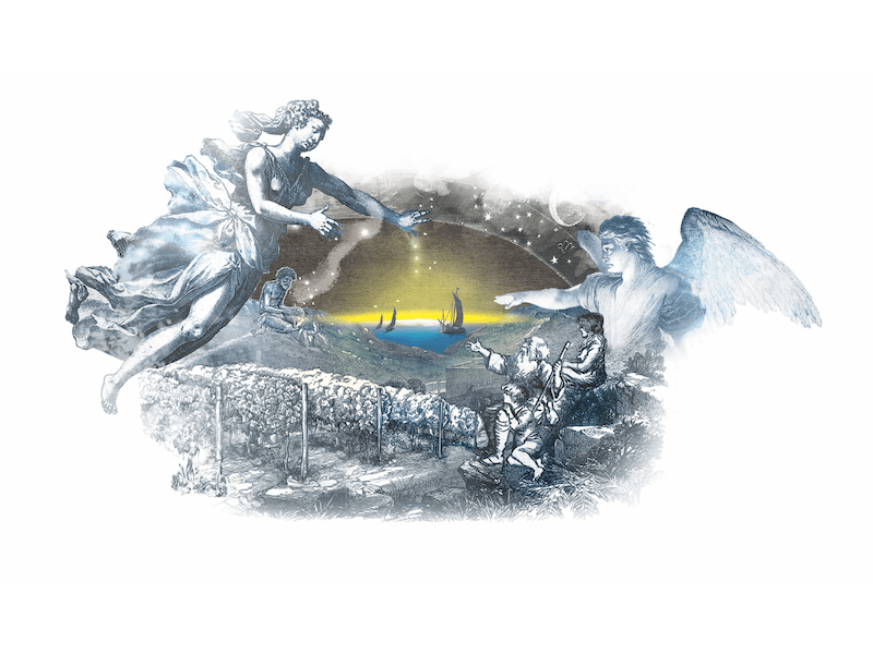 Distant Light Grenache Shiraz