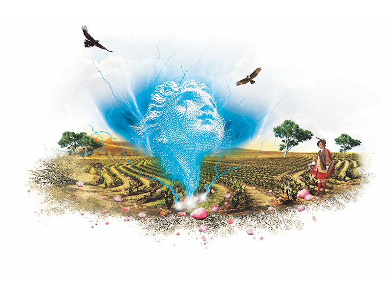 The Quickening Shiraz