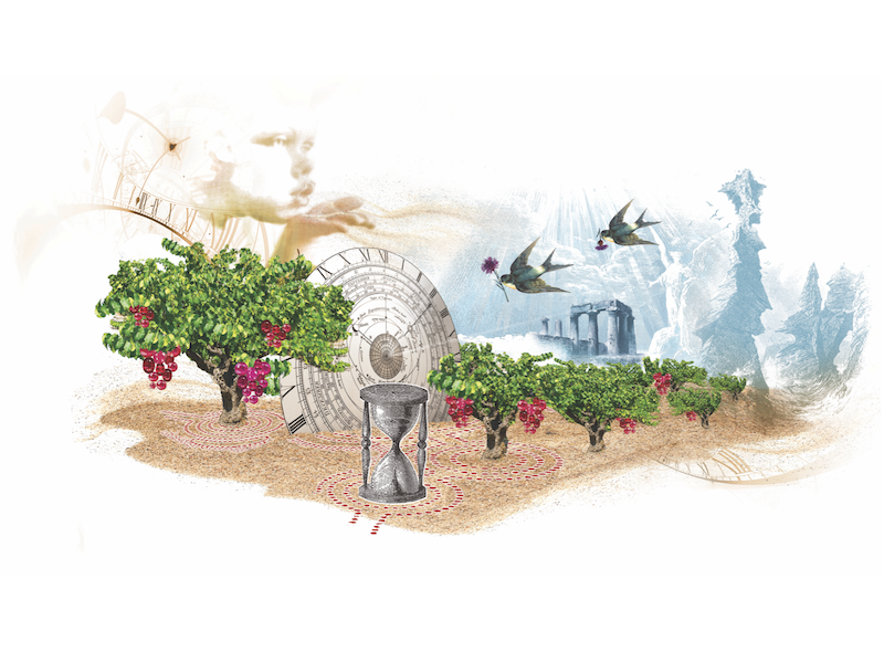 Sands of Time Grenache