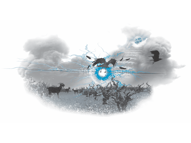 She's Electric Grenache