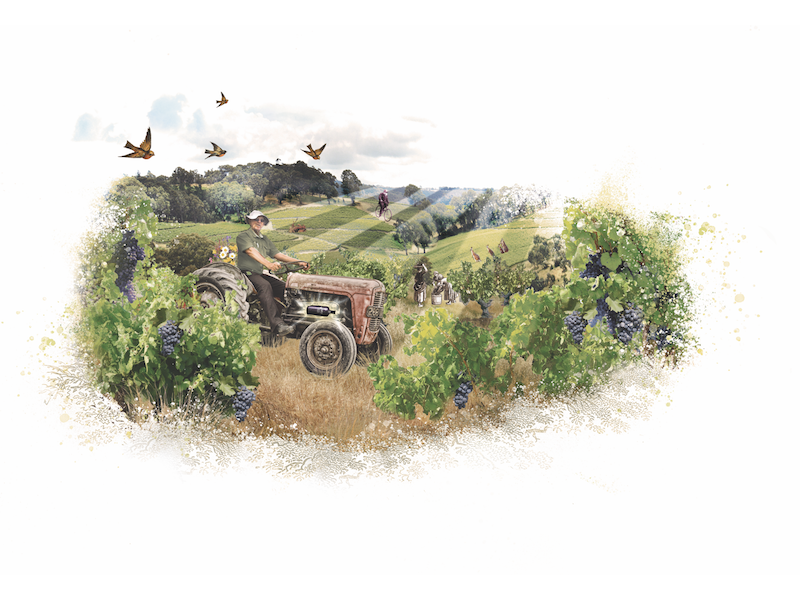 This Charming Man label illustration