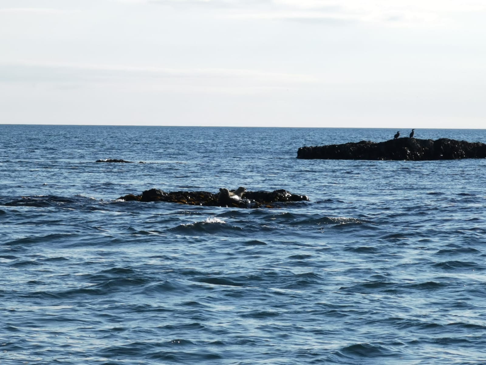sea